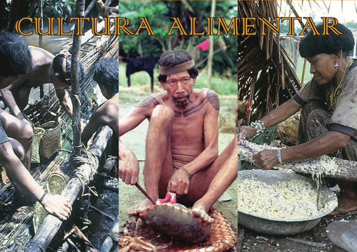 Screen Shot 2018-12-12 at 4.53.37 PM